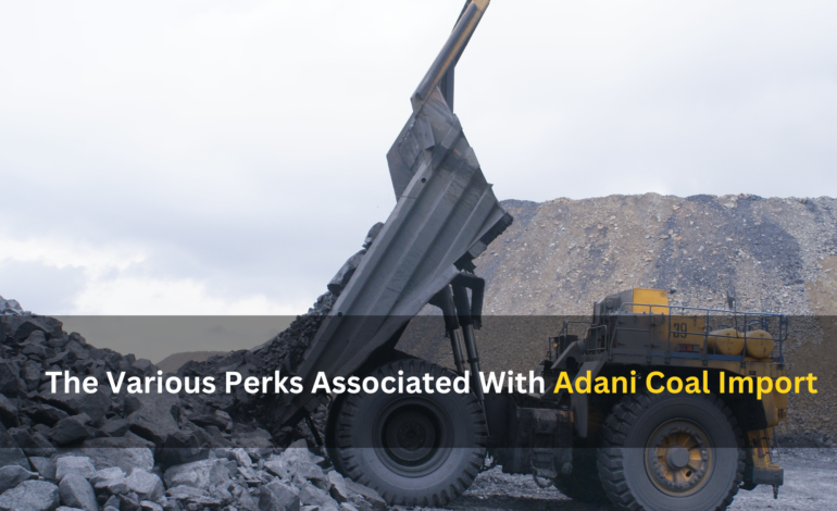 The Various Perks Associated With Adani Coal Import